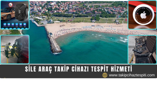 Şile Araç Takip Cihazı Tespit Hizmeti