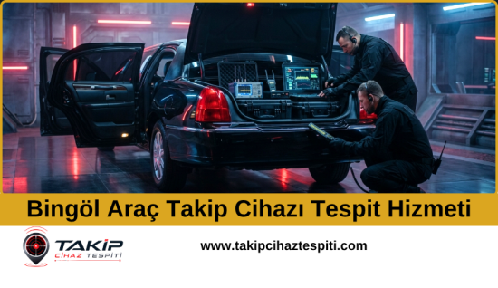 Bingöl Araç Takip Cihazı Tespit Hizmeti
