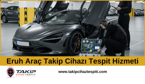 Eruh Araç Takip Cihazı Tespit Hizmeti