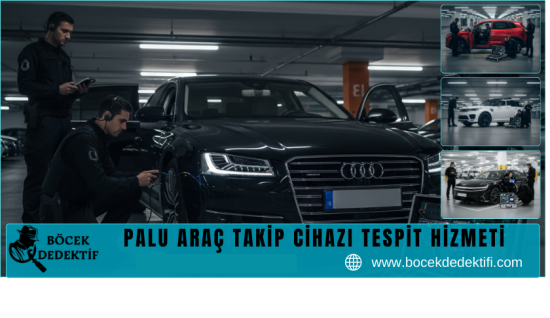 Palu Araç Takip Cihazı Tespit Hizmeti