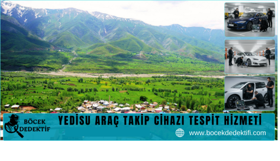 Yedisu Araç Takip Cihazı Tespit Hizmeti