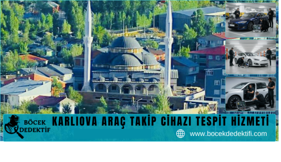 Karlıova Araç Takip Cihazı Tespit Hizmeti